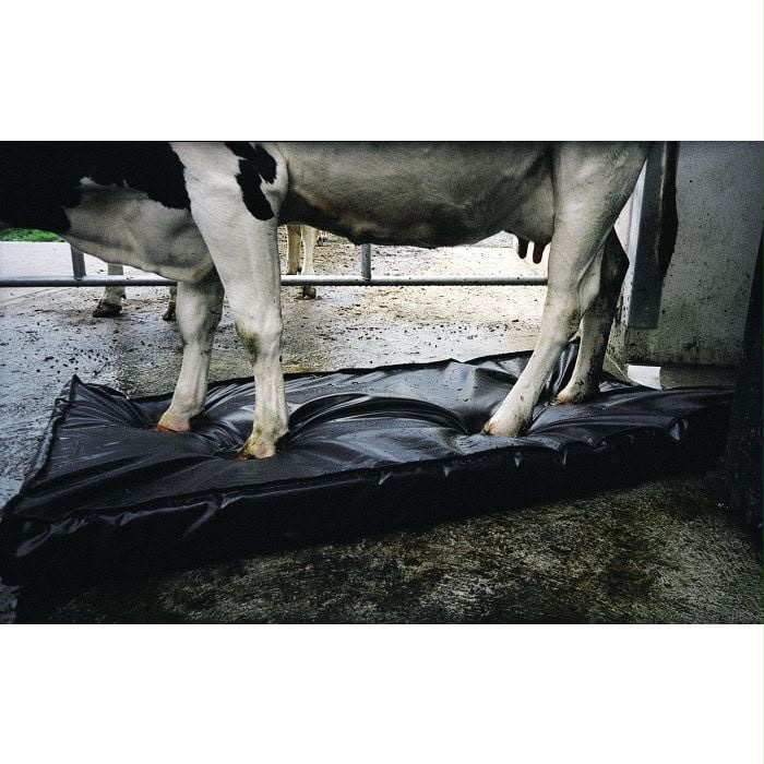 CowSupply Desinfectiemat 60x90x4 cm – incl. groene opvanghoes