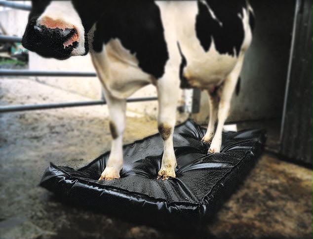 CowSupply Desinfectiemat 60x90x4 cm – incl. groene opvanghoes