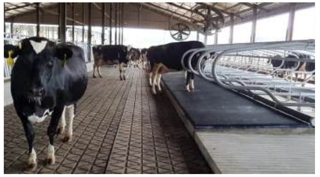 CowSupply Mootopcover per m1