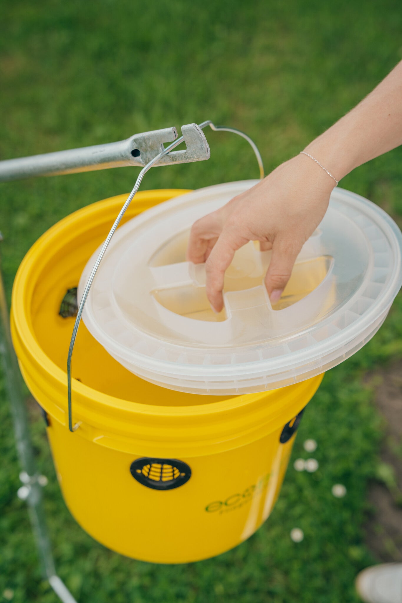 Ecobusters Vliegenval Weide XXL Professional + 240g Lokstof