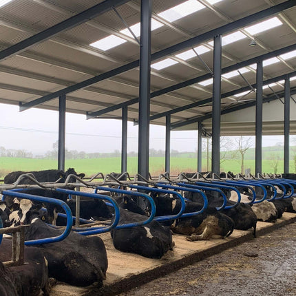 CowSupply Hybride ligbox compleet