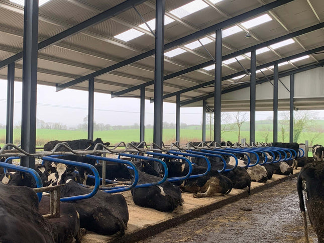 CowSupply Hybride ligbox compleet